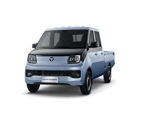 FOTON Wonder